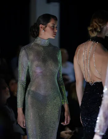 Swarovski Dress