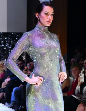 Swarovski Dress
